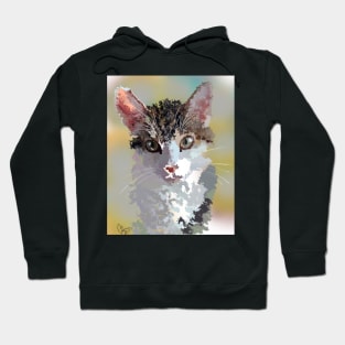 Cat Hoodie